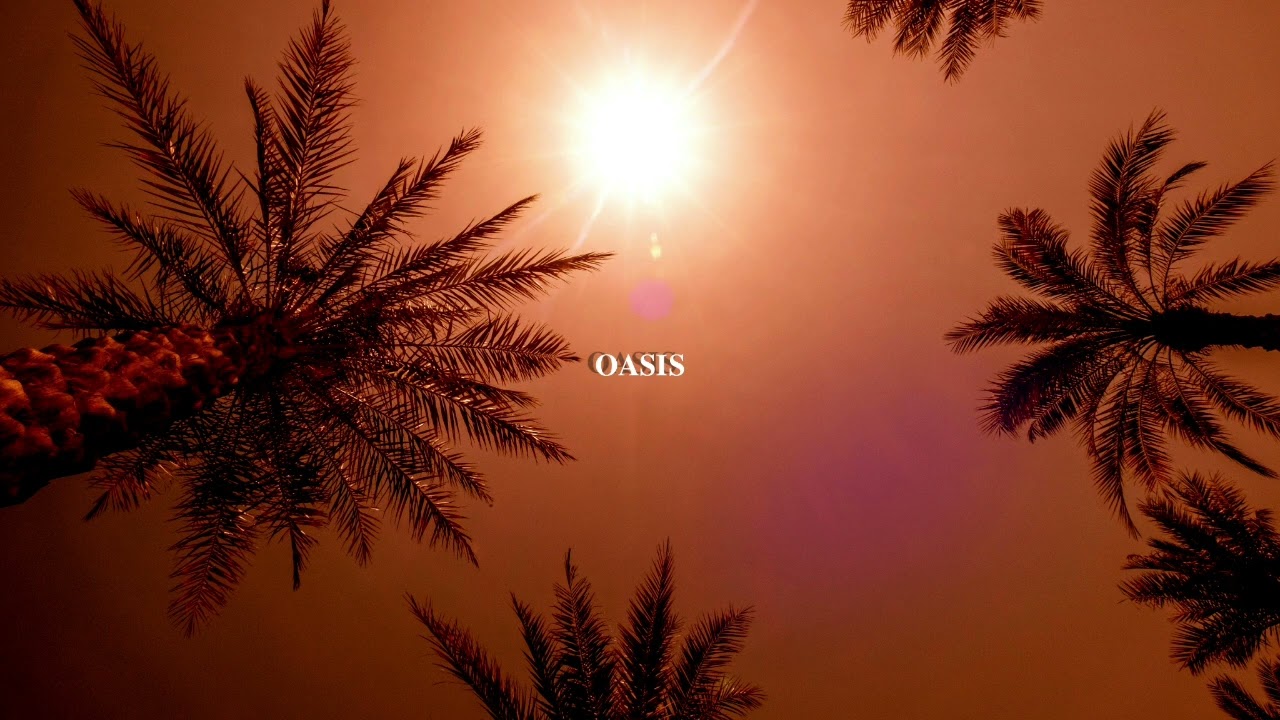 Kamila Jankowska - OASIS