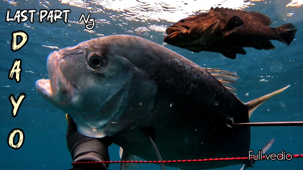 Spearfishing || last part ng DAYO. 