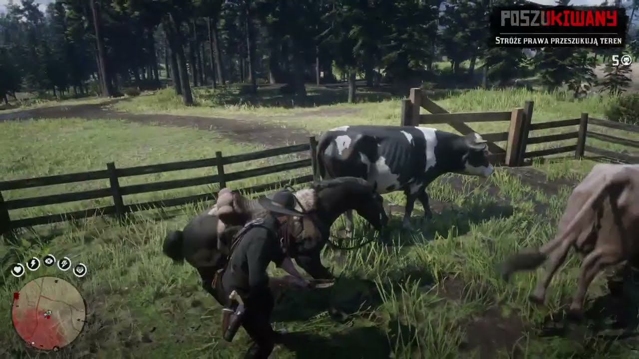 RDR2 Fail Compilation