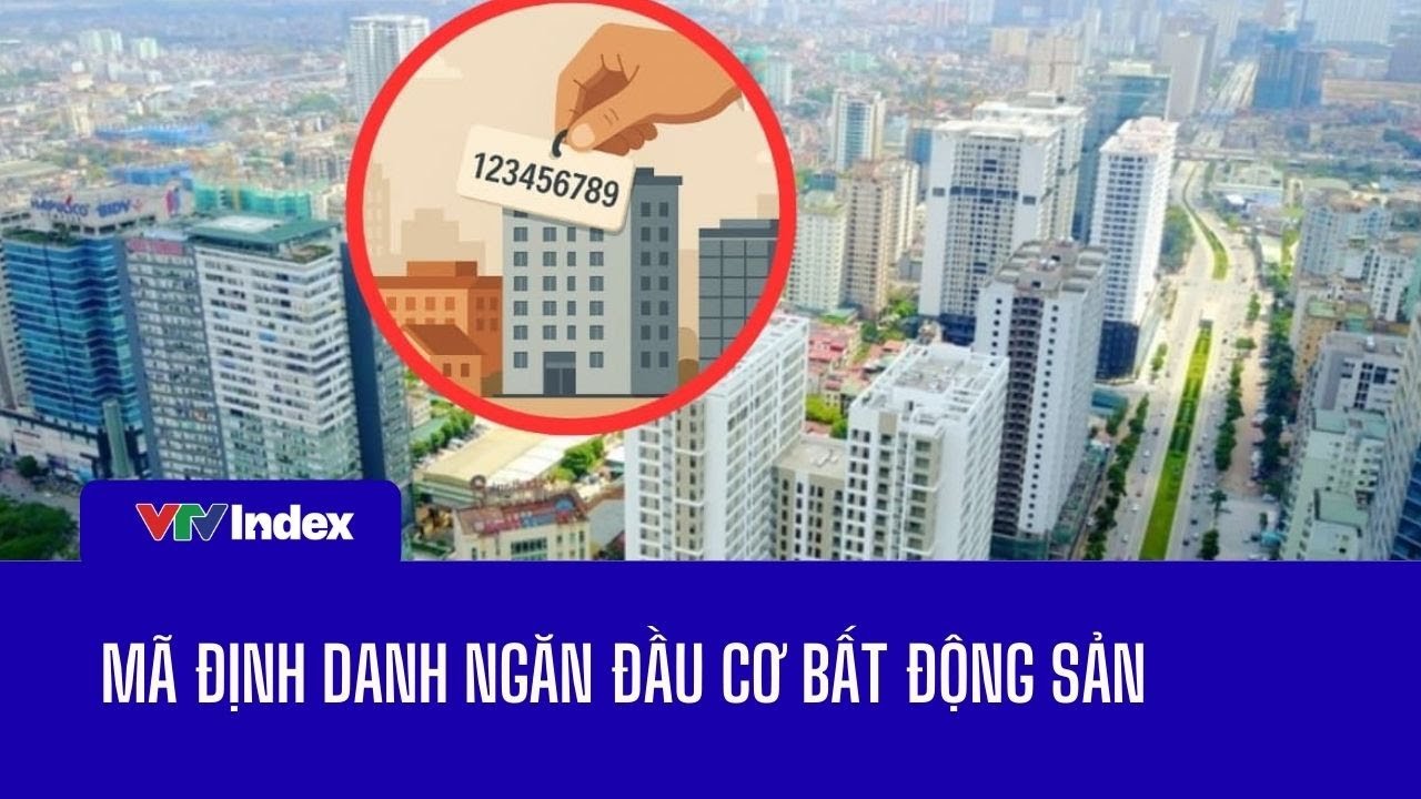 Mã định danh ngăn đầu cơ bất động sản | VTVIndex