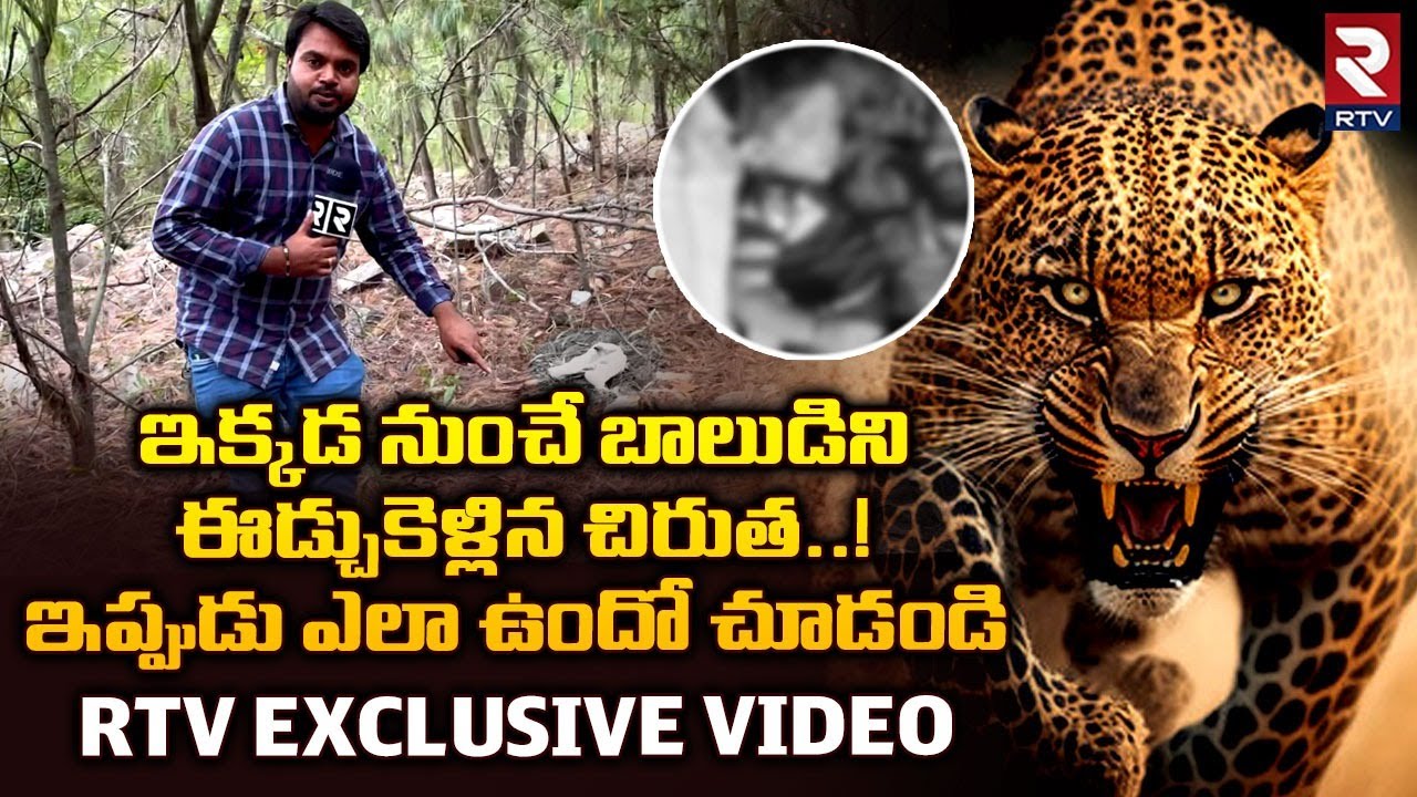 Cheetah Attack On 3 Years Small Boy At Tirupati Explained | బాలుడిని ఈడ్చుకెళ్లిన చిరుత | RTV News