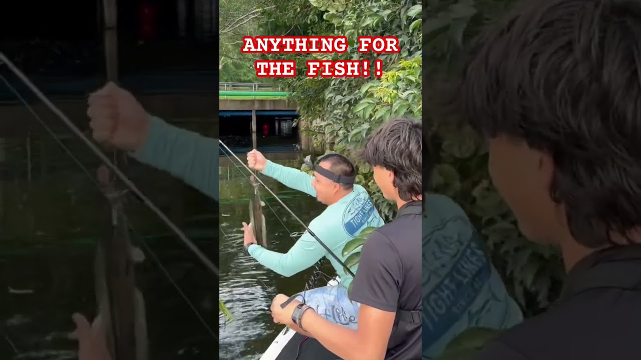 WHAT&rsquo;S UNDERNEATH THE SNAKEHEAD TREE! #shorts