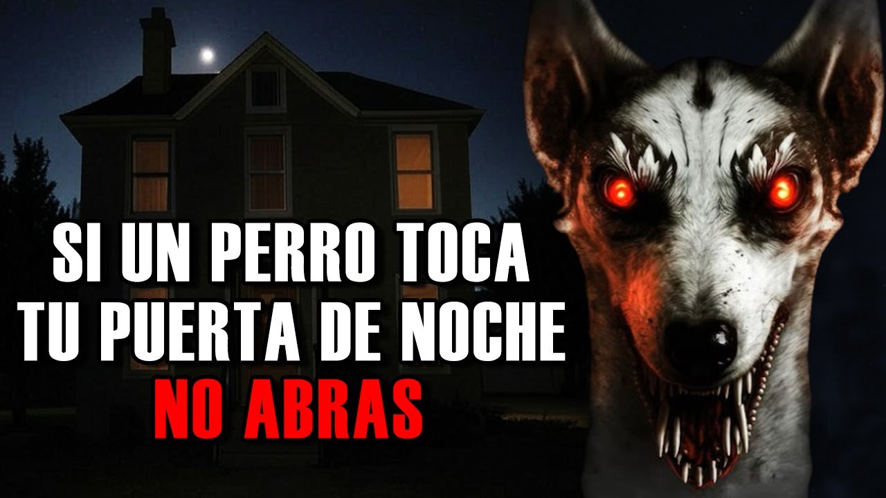 10 HISTORIAS NUEVAS DE ANIMALES ACTUANDO COMO HUMANOS | NO PODR&Aacute;S DORMIR | VOLUMEN 19