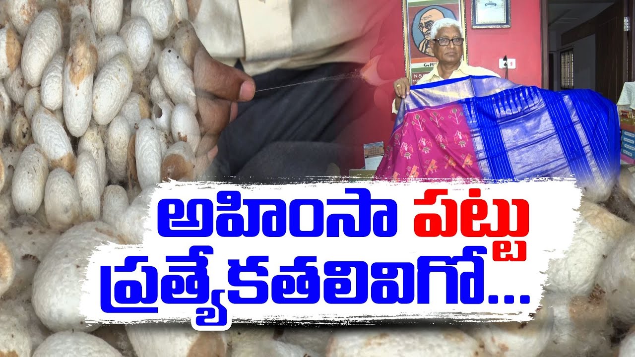 Special Story Of Kusuma Rajaiah | Invented Ahimsa Silk | అహింసా సిల్క్ రాజయ్యపై ప్రత్యేక కథనం