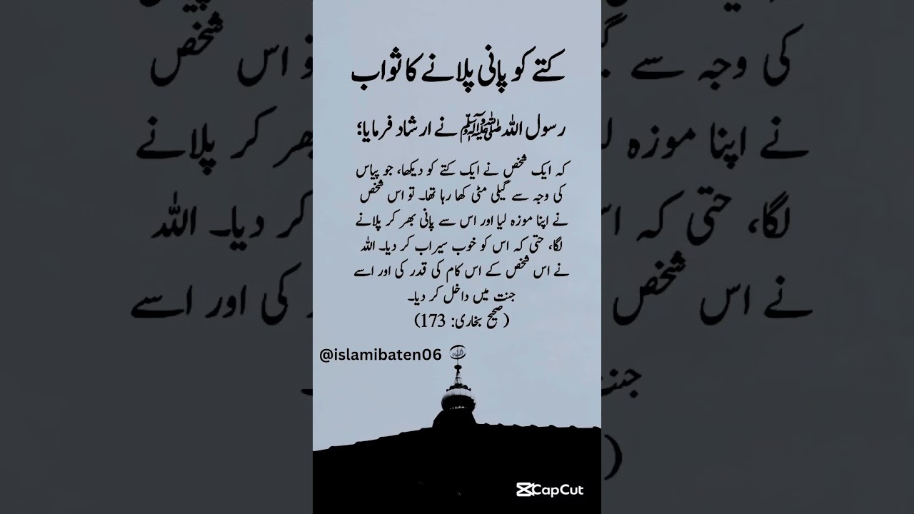 #islamicstatus #quotes #islamicpoetryinurdu #islami #poetry #islamistories #unfrezzmyaccount#shayari