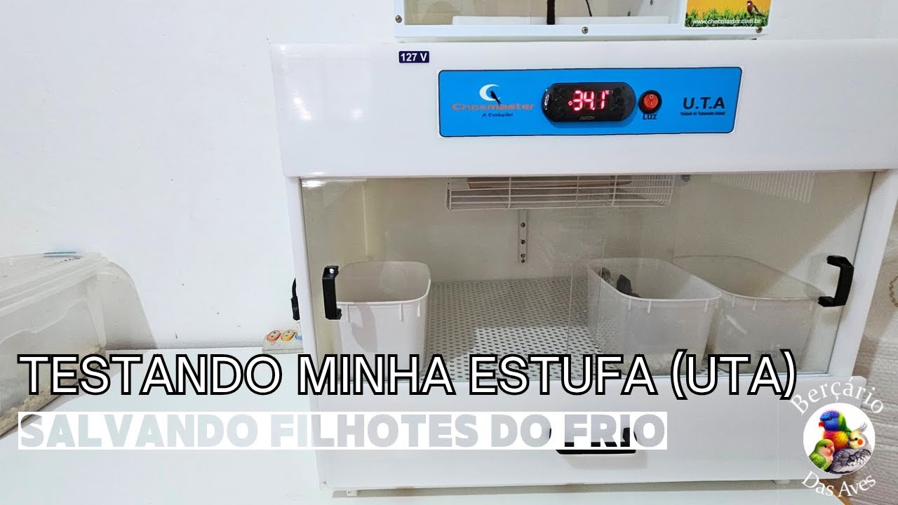 Testando Minha Nova Estufa da Chocmaster