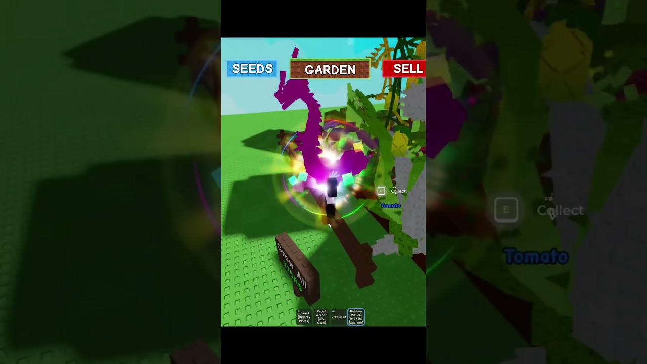 MAX Age 100 Rainbow Mizuchi - Roblox Grow a Garden Season 1 #roblox
