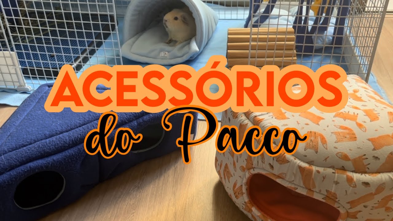 Acessórios para Porquinhos da Índia