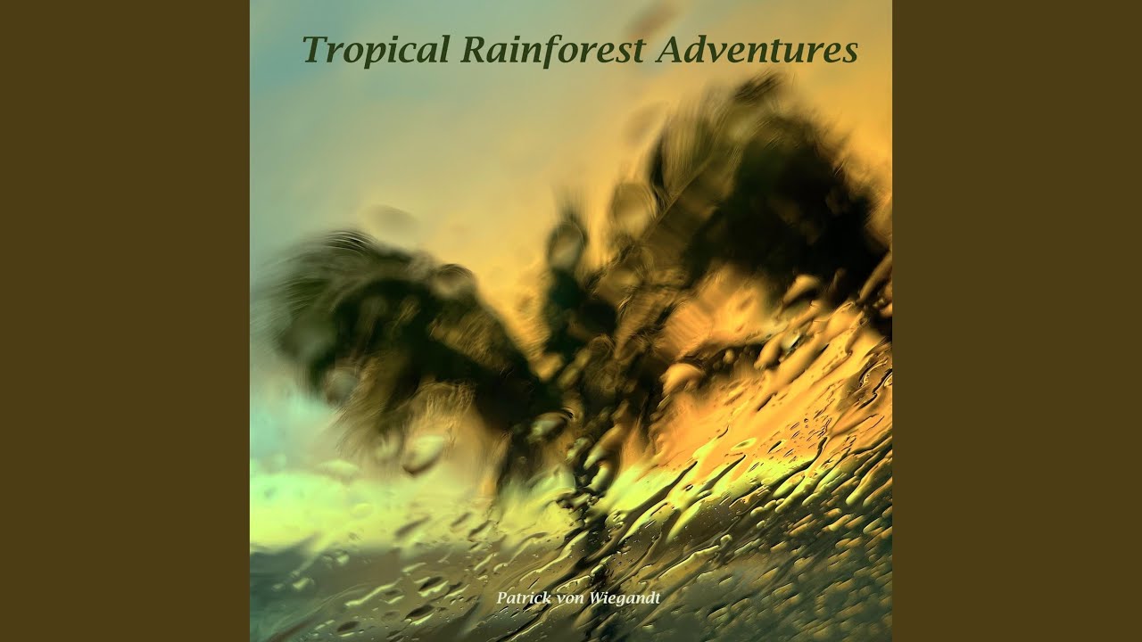 Tropical Rainforest Adventures
