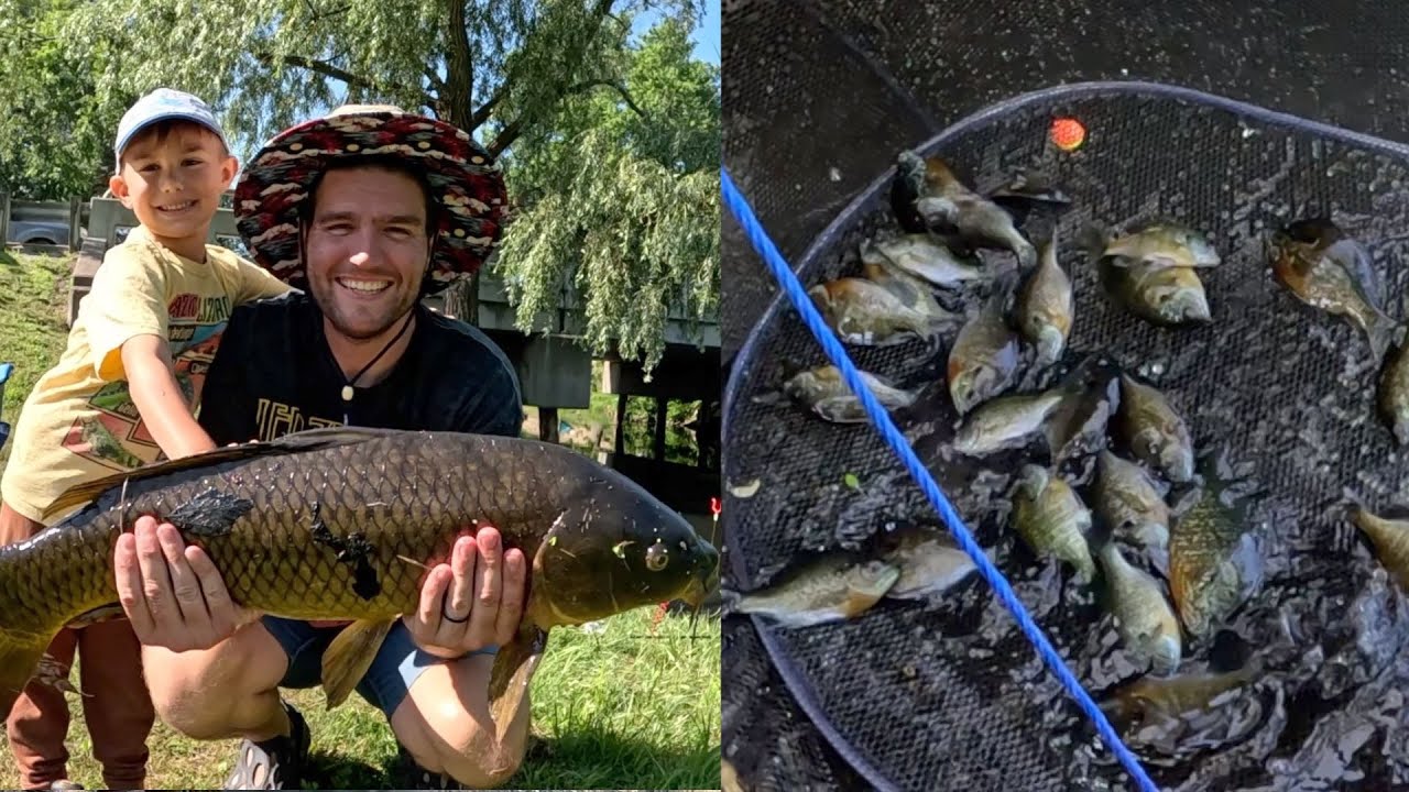 Carp and Sunfish Summer Fishing! We filled the fish trap!