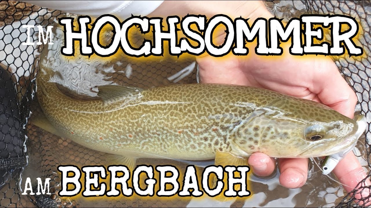 Am BERGBACH im HOCHSOMMER / Mit Gummi auf Bachforellen und Marmoratas (FULL HD)