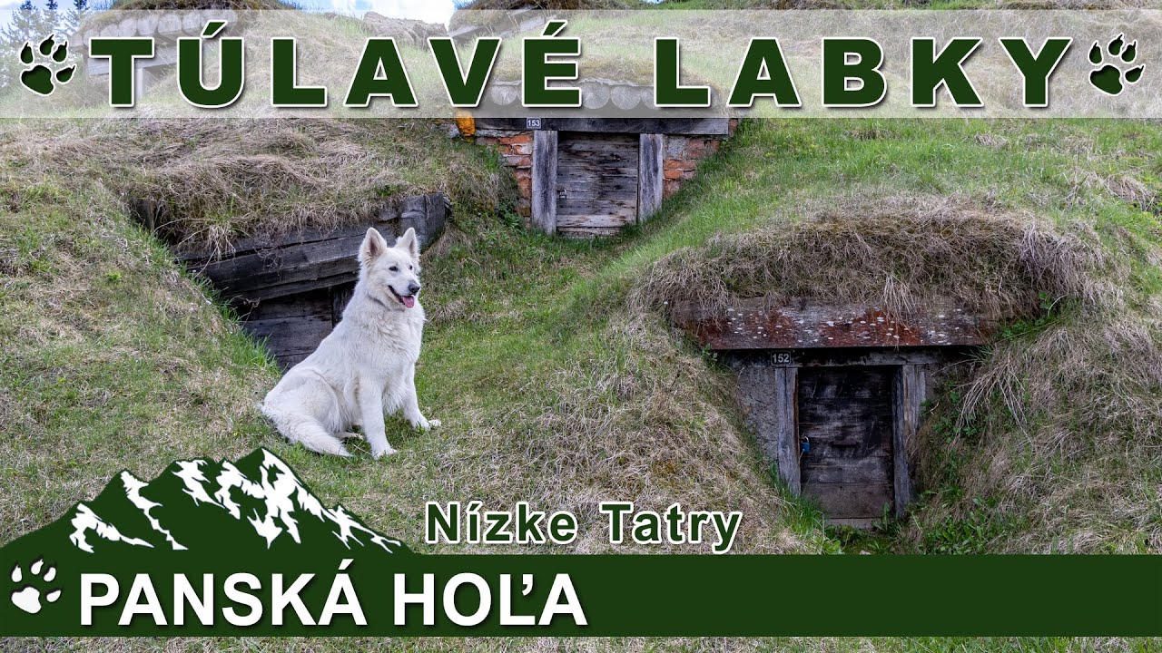 Túlavé labky: Panská hoľa z Liptovskej Tepličky