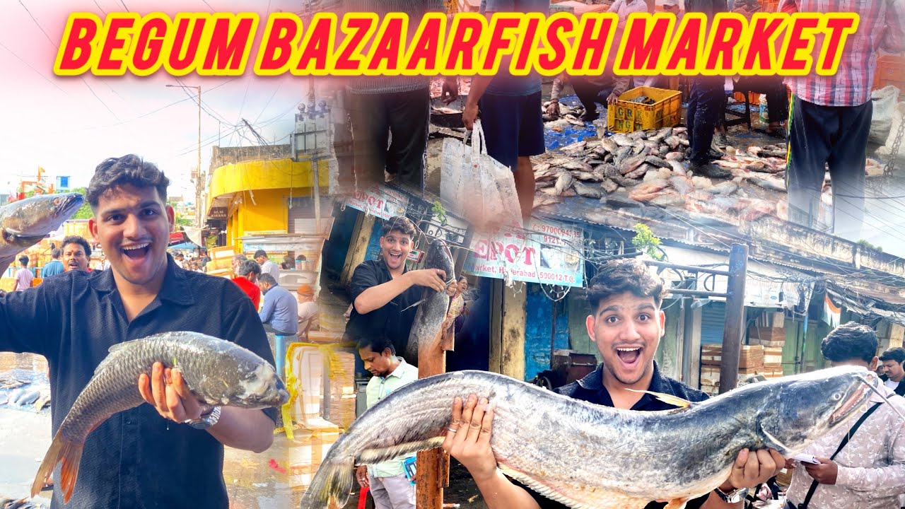 HYDERABAD BIGGEST FISH MARKET AT BEGUM BAZAAR✅ BEGUM BAZAAR FISH MARKET😱