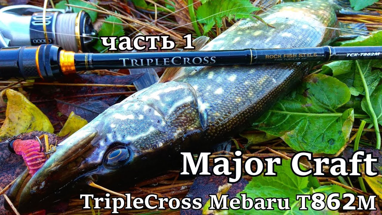 НАШЕЛ ЛОГОВО ОКУНЕЙ СО ЩУКАМИ! Спиннинг Major Craft TripleCross Mebaru T862M. Тест новинки, ч 1