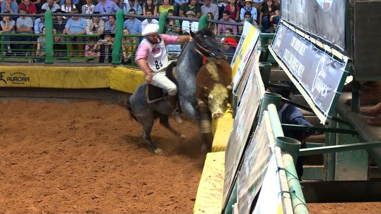 Arroyto do Cangu&ccedil;u - Melhor Mang.  I do Freio de Ouro 2017