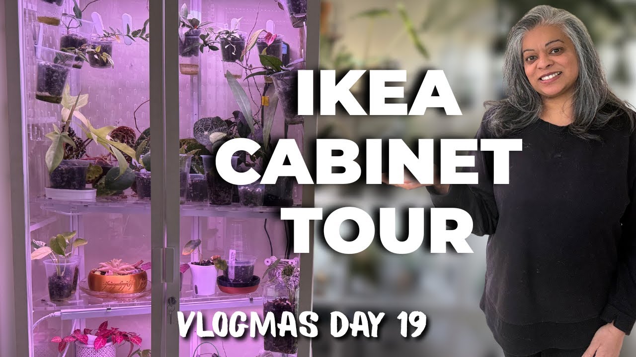 Messy Ikea Cabinet Plant Tour | Vlogmas Day 19