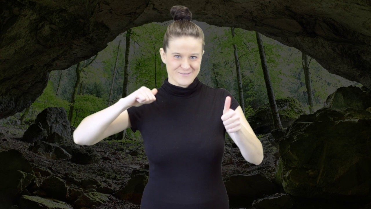 WOLF CHASE ASL story 1-10 By Stephanie Kesterke (SKS)
