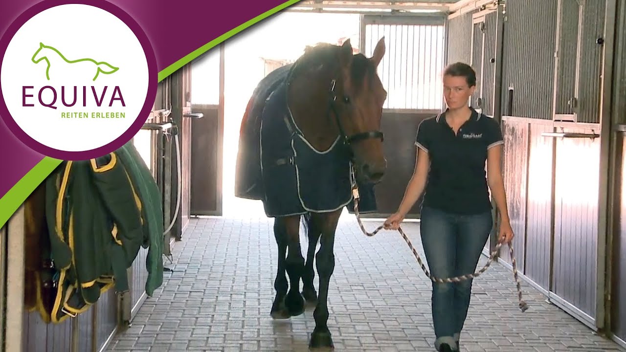 Pferdedecken - zu Besuch bei Horseware in Irland