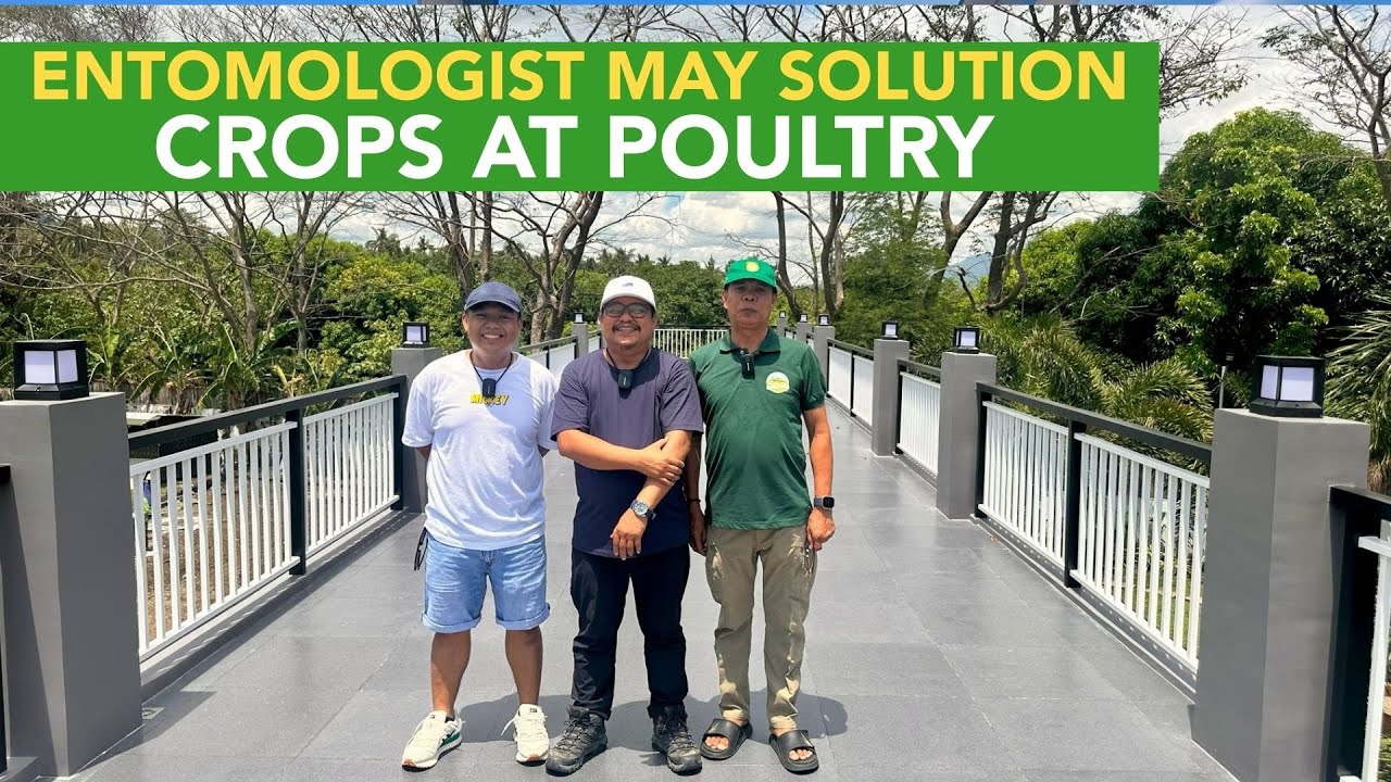 ENTOMOLOGIST, Super Ganda ang Farm at Event Place, May Solution sa Problems ng Crops at Poultry!