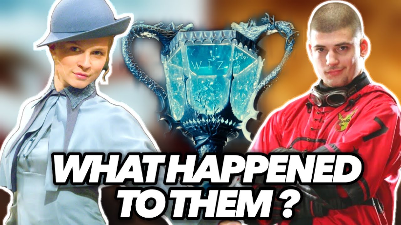 What Happened to Fleur Delacour & Viktor Krum After The Goblet of Fire ? (Harry Potter Explained)