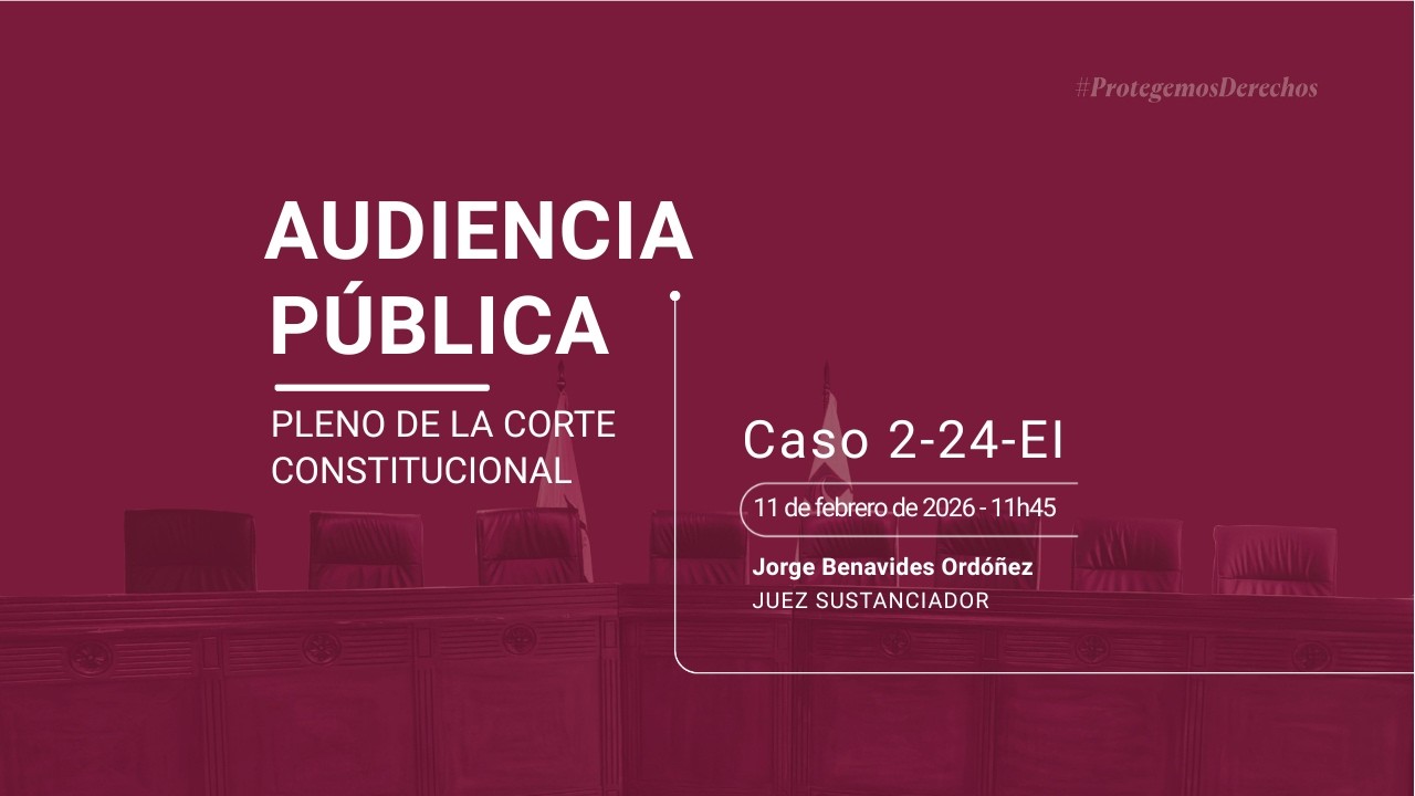 Audiencia Pública Caso No. 2-24-EI