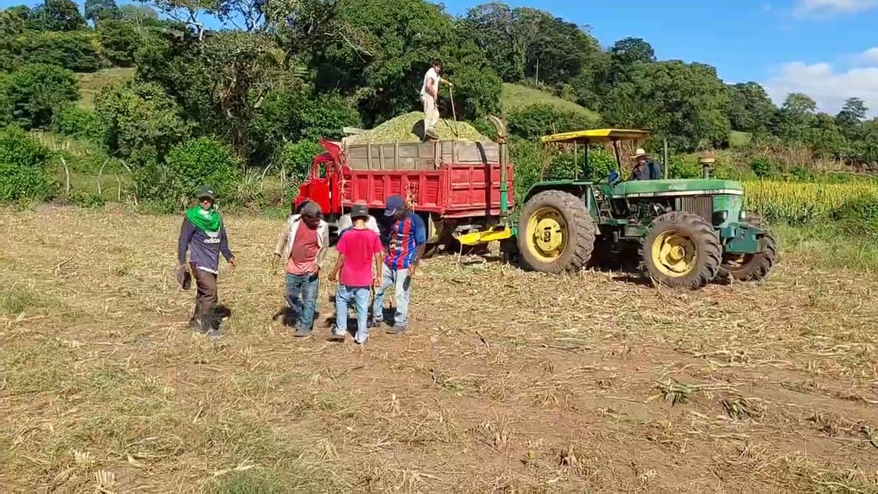 El comun de las flores zapotitan, Ciudad Arce, El Salvador