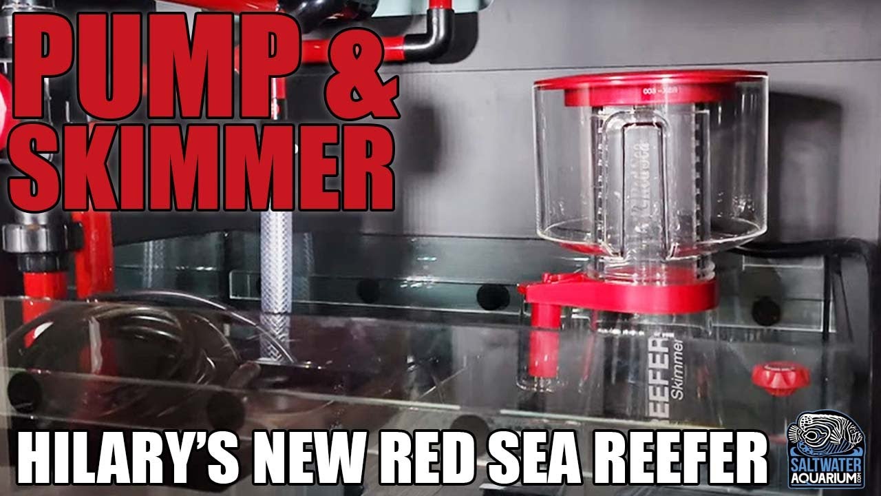 RETURN PUMP & Protein Skimmer Install - Hilary's New RED SEA Reefer
