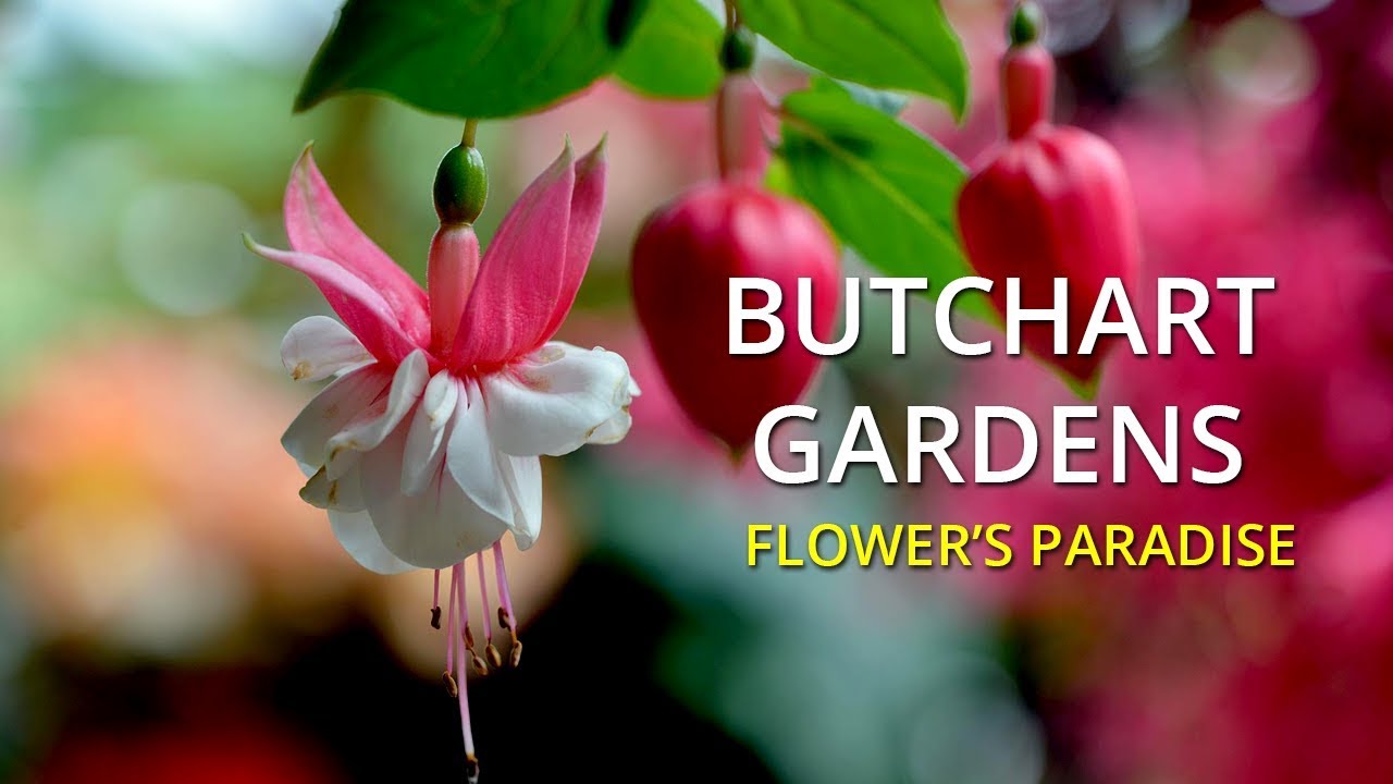 Butchart Gardens - Victoria, British Columbia