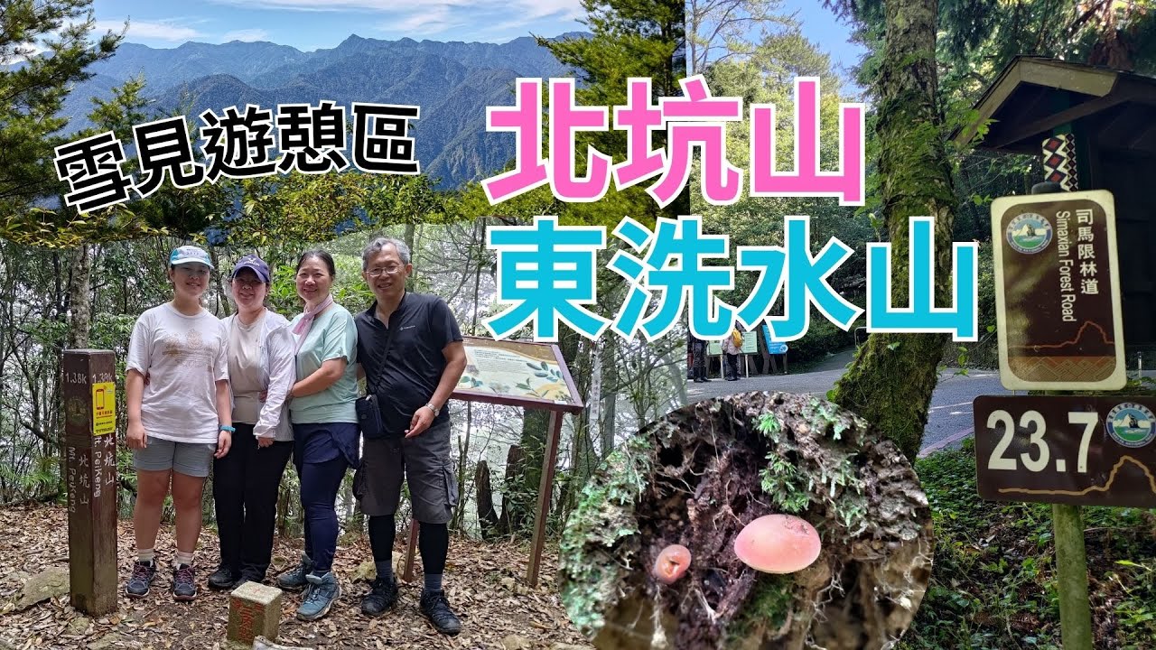雪見遊憩區～北坑山～東洗水山｜司馬限林道～好涼，好舒服，芬多精吸好吸滿