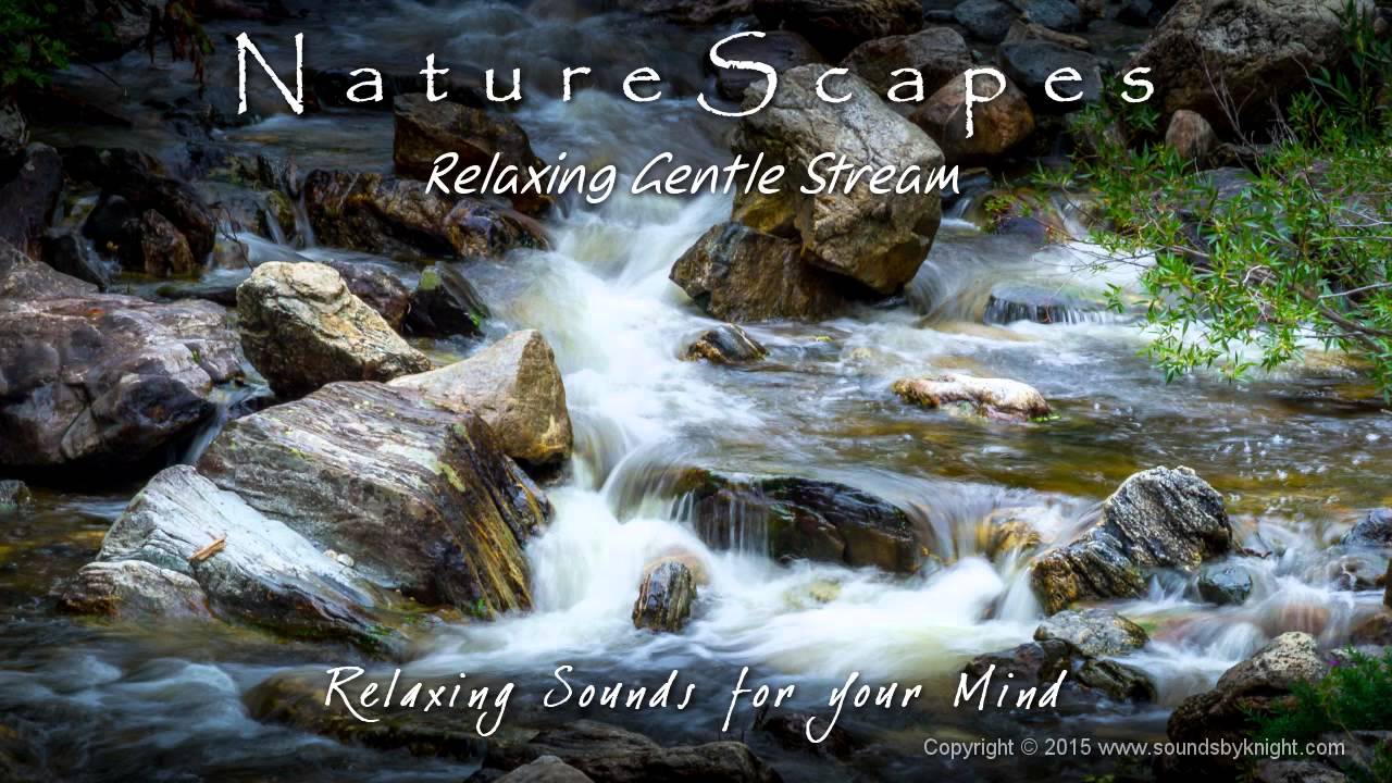 🎧 RELAXING GENTLE STREAM... Soothing Water Sounds to help you Sleep Better, Study & Meditate