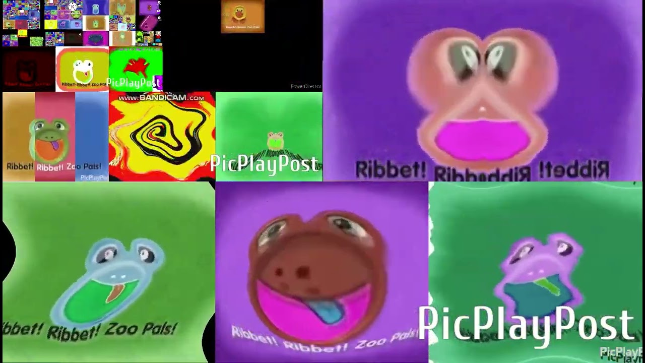 (2/000) TOO MANY ZOOPALS LOUD MUCH
