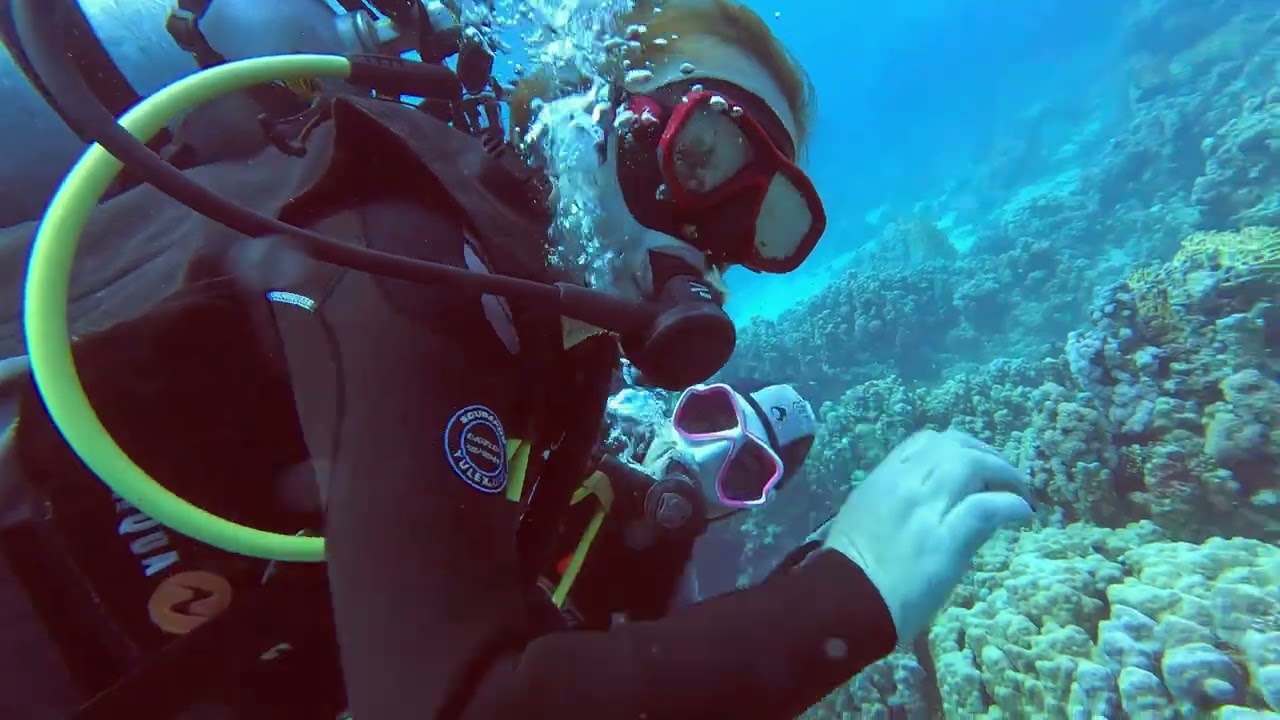 dive nr.3, Egypt Marsa Alam, Aurora bay, Gabel El Rosas Nurkowanie