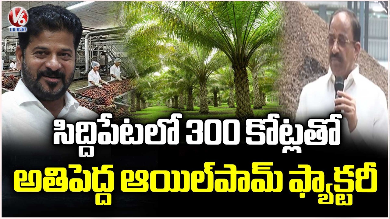 Oil Palm Processing Factory In Narmetta | CM Revanth To Inaugurate On 22nd March | Siddipet | V6