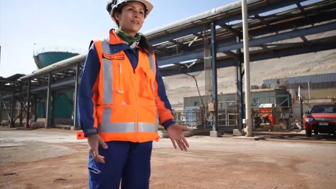 Estar en miner&iacute;a vale la pena