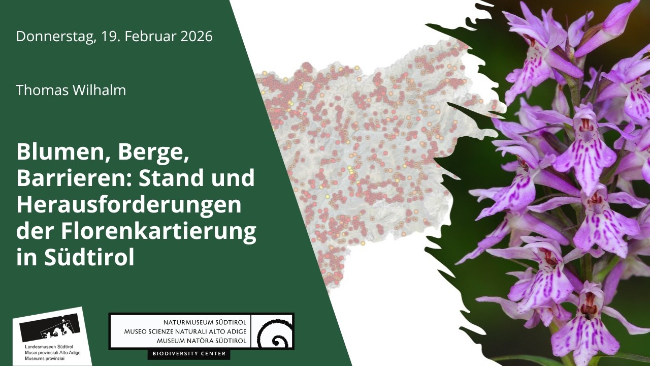 Blumen, Berge, Barrieren: Stand und Herausforderungen der Florenkartierung in Südtirol