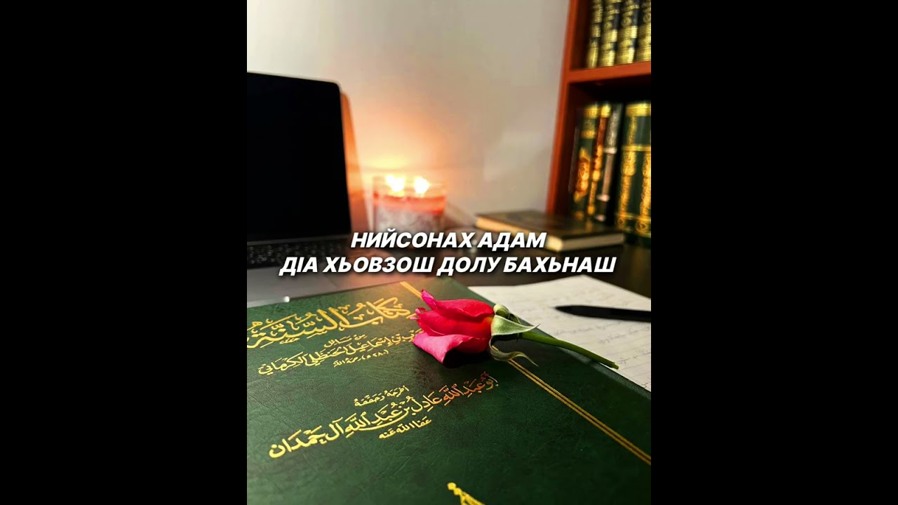 Шейх lели🎙Нийсонах адам дlа хьовзош долу бахьнаш.