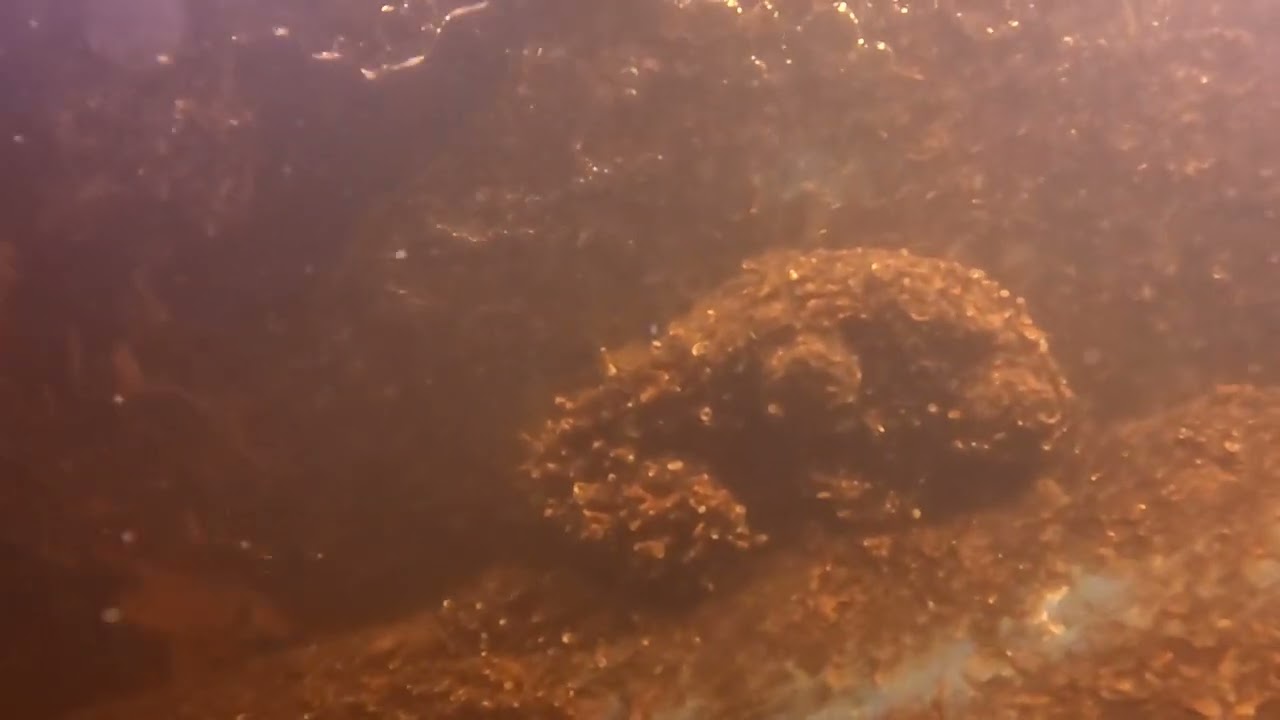Duiken onder de Sensor. Het nieuwe duikschip van Duikteam IJmond om te  duiken op de Noordzee