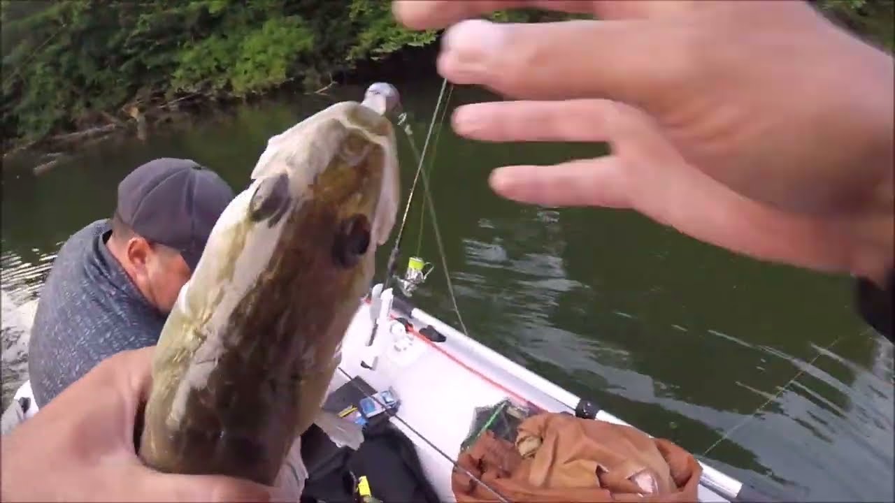 Catch and cook - Salaii si licuricii de pe lacul Secu! - O iesire de poveste...