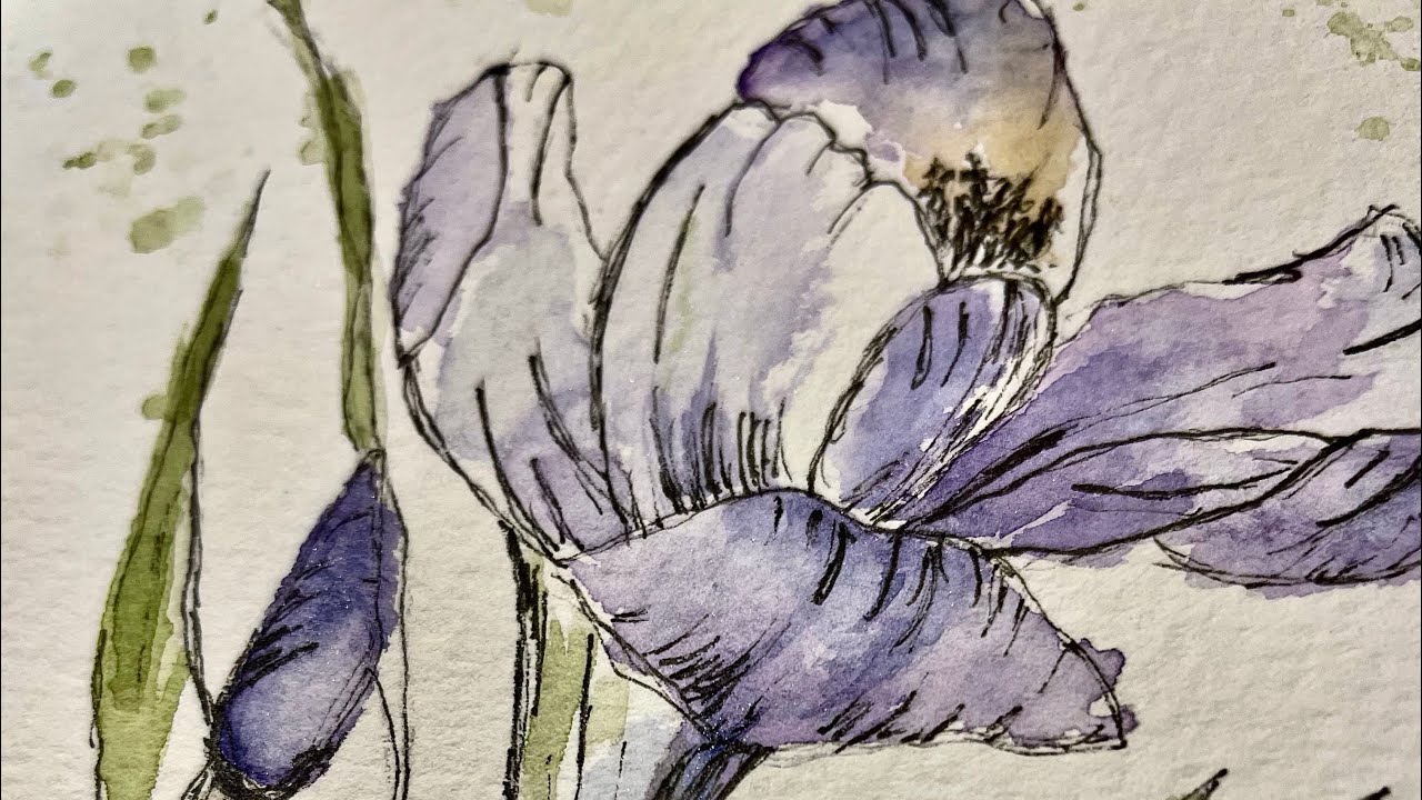 Springflower, ink and wash, full tutorial.