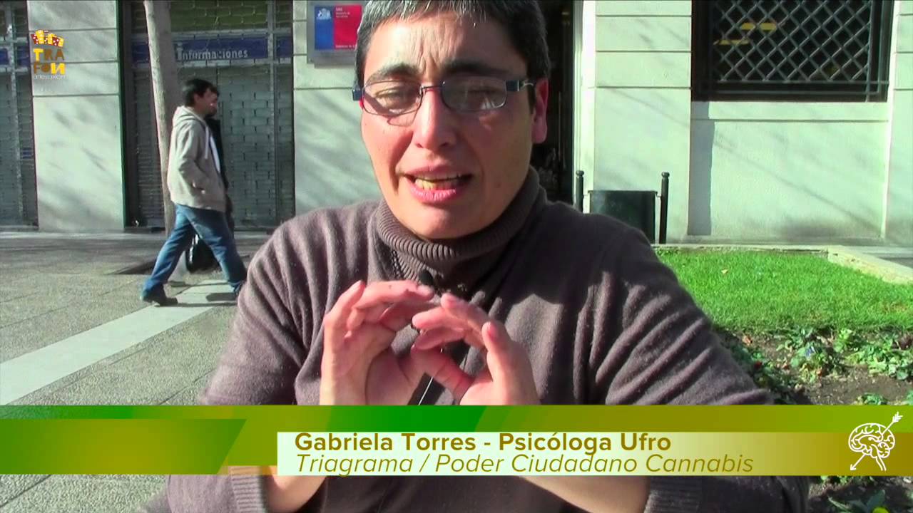 Infoweed 02 : julio 2015 : Trafon TV : El Ciudadano Tv: 