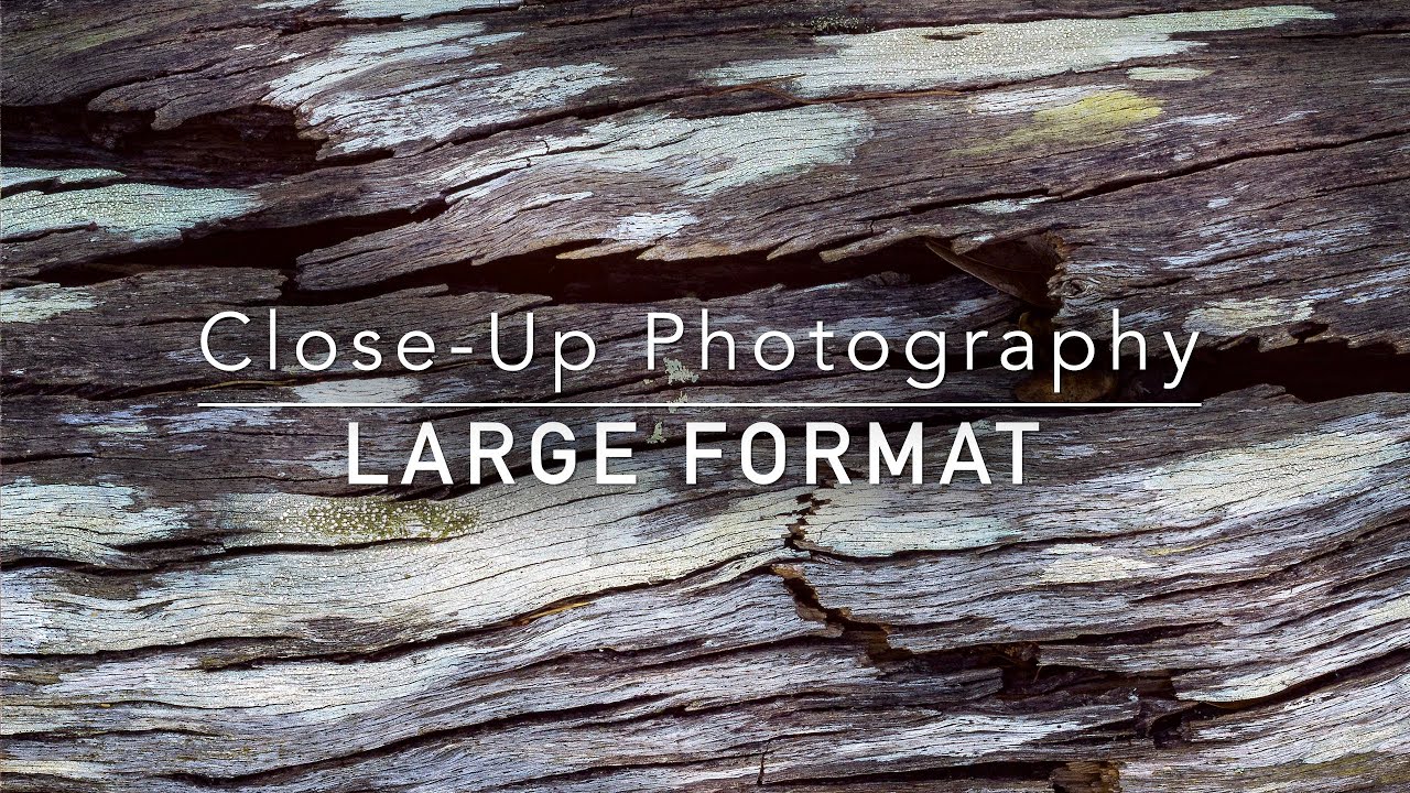 Large Format Closeup Landscape Photography