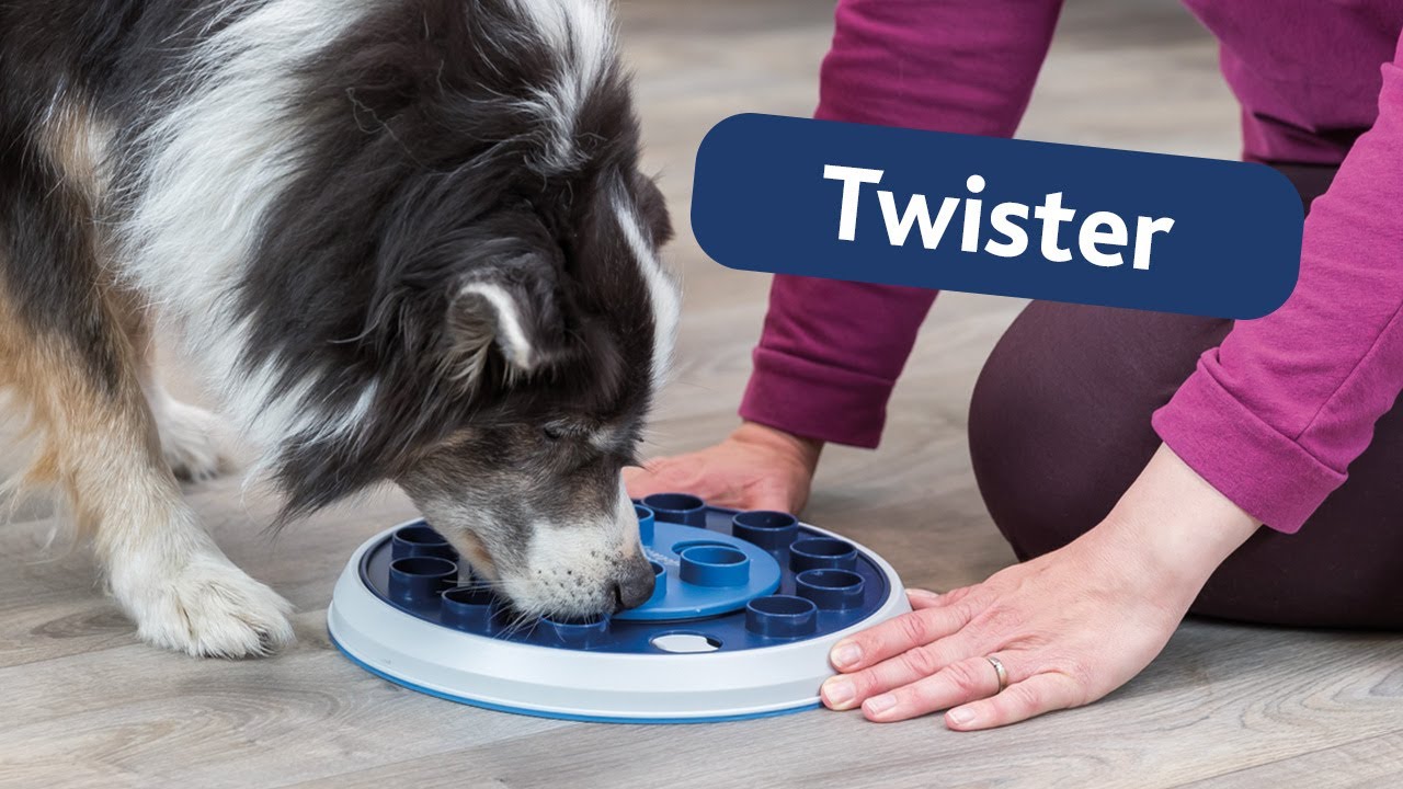 TRIXIE Dog Activity Twister Strategy Game for Dogs #32008