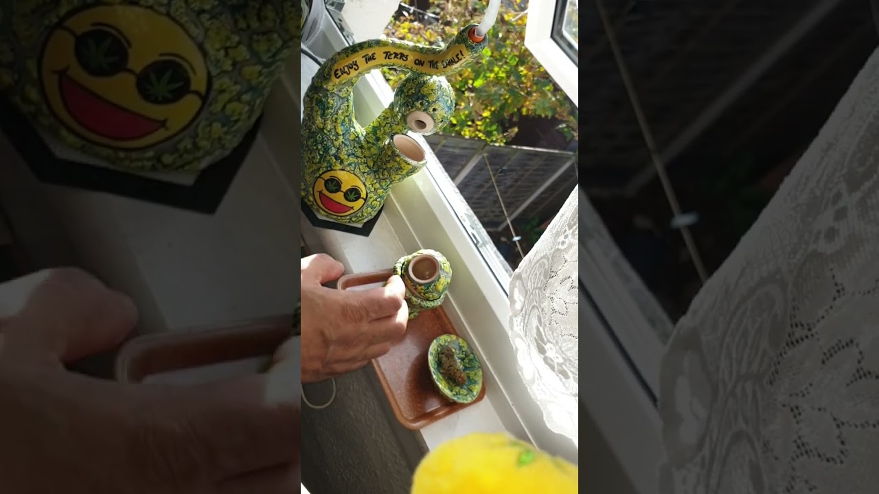 @jaxelsart Jaro Pronounced Yaro #vapbong Reviews 💚