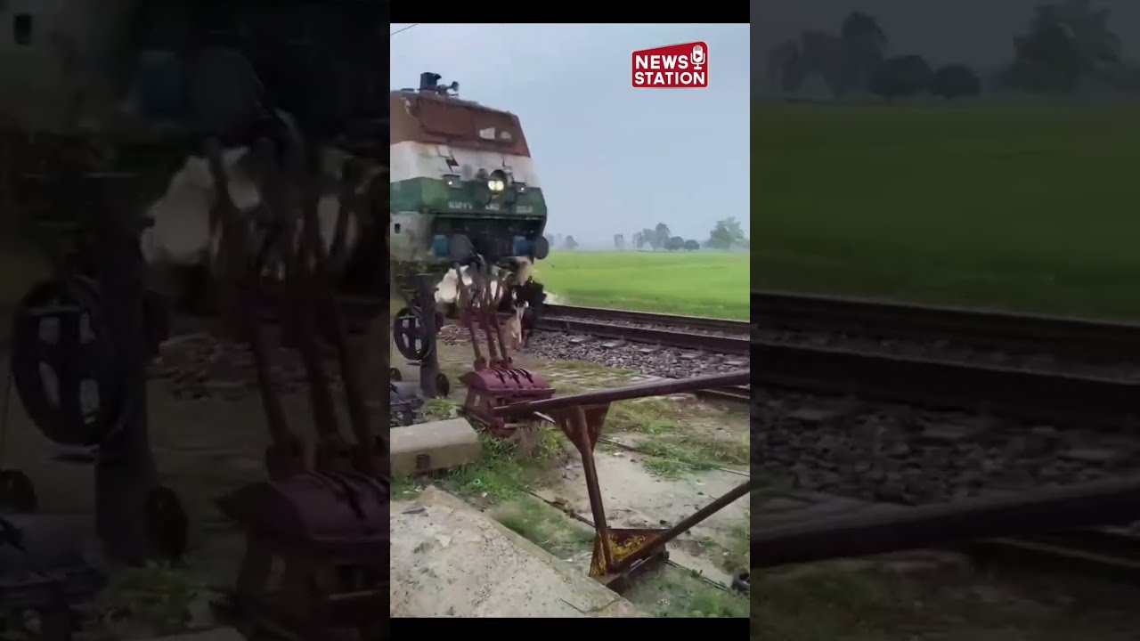 रेल पटरी पर हांक रहे थे बकरियां, आ गई तेज रफ्तार ट्रेन @newsstation
