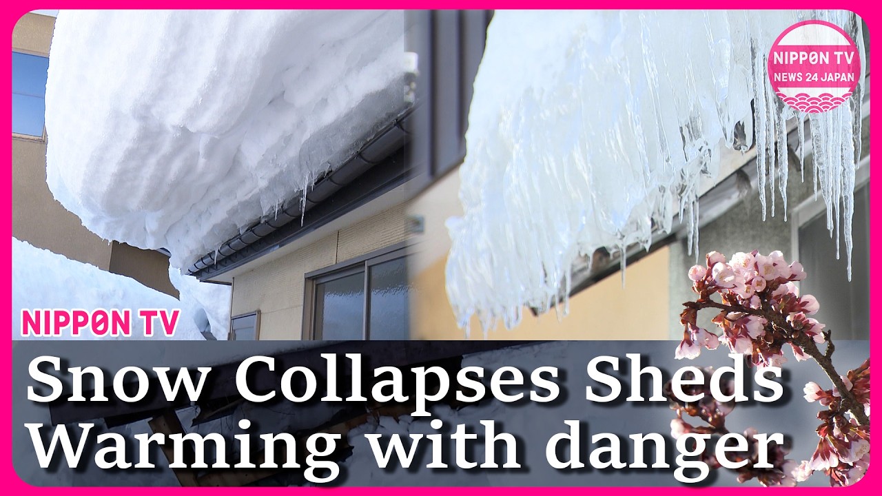 Snow collapses sheds, chicken coops…Warming brings falling-snow risks–what worries you about spring?