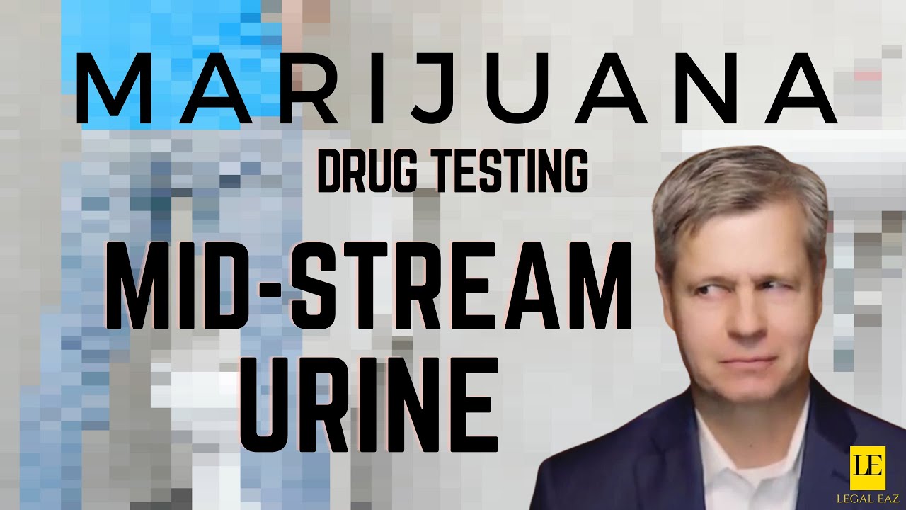 PASS A DRUG TEST WITH MID-STREAM URINE | wtf?