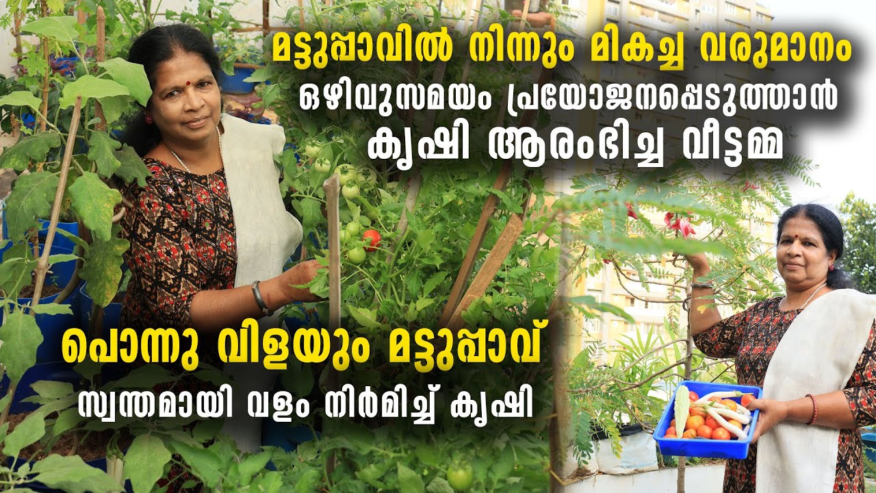 സ്വന്തമായി വളം നിർമിച്ച് കൃഷി ആരംഭിച്ച വീട്ടമ്മ | മട്ടുപ്പാവിൽ നിന്നും മികച്ച വരുമാനം | Terrace Farm
