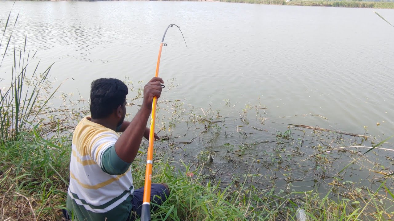 Fishing || incredible fishing || Amazing fishing || Rohu fishing