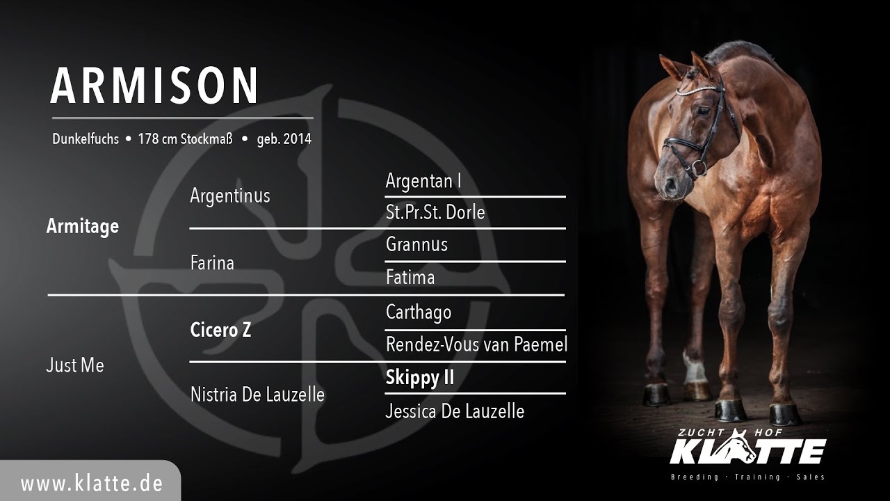 ARMISON v. Armitage x Cicero Z x Skippy II - Hengste 2021 - www.klatte.de