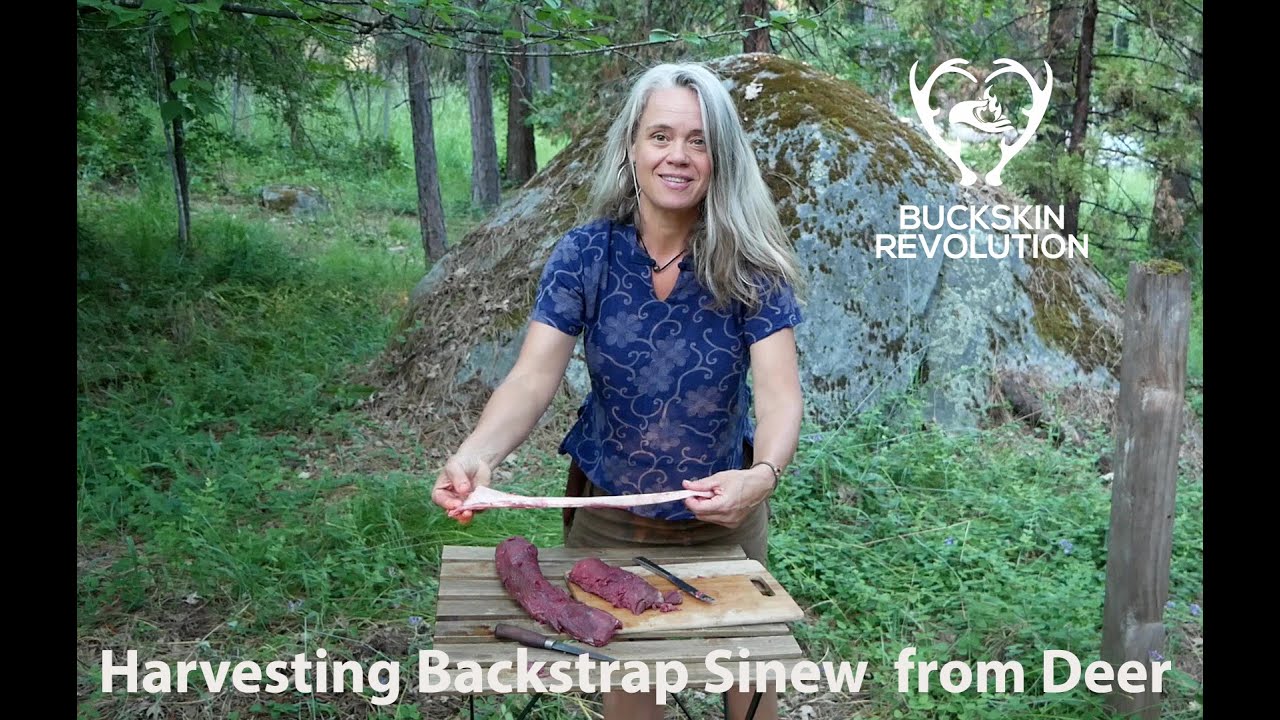 Harvesting Backstrap Sinew (and why it's a good idea to do so)